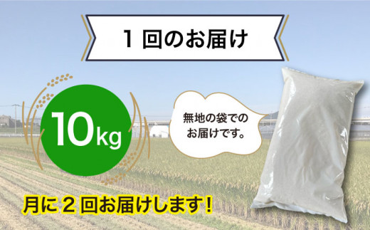 【全6回(月2)定期便】とにかくおいしいお米 夢つくし 10kg 糸島市 シーブ [AHC024]