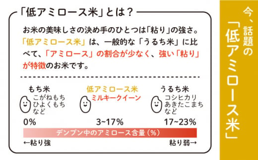 ミルキークイーン 2合×10袋 （ 300g×10袋 ） 小分け袋 糸島市 / 玄米・精米専門店 新飼宗一郎商店 米 白米 [ADE017]