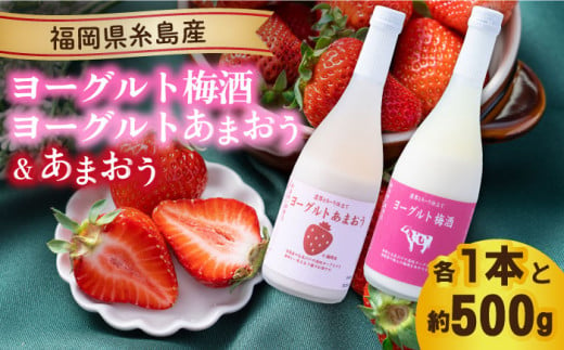 【先行予約】【冬】ヨーグルトあまおう＆ヨーグルト梅酒 各720ml×あまおう 約250g×2パック 【2024年12月上旬以降順次発送】 糸島市 / 南国フルーツ株式会社 [AIK018]