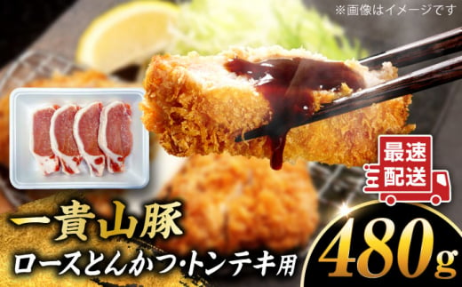 一貴山豚 ロースとんかつ・トンテキ用 計480g(120g×4枚) 糸島市 / いきさん牧場 豚肉 [AGB030]