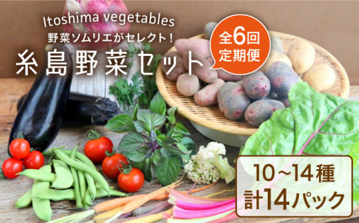 【全6回定期便】旬を味わう 糸島 野菜 セット 10～14種 （14パック） / イタリア野菜 オーガニック 野菜ソムリエ 松永 糸島市 / vegeLabo [AJB002]