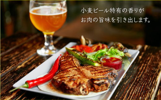 【全12回定期便】【 お試しセット 】いとしまBEER 330ml×3本 セット 糸島市 / 蔵屋 [AUA030]