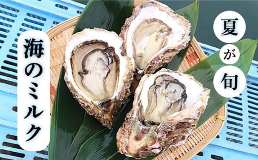 【 特大 ！ 】 糸島産 岩牡蠣 3kg (9～12個) 糸島市 / JF糸島 糸島漁業協同組合 [AKD004]