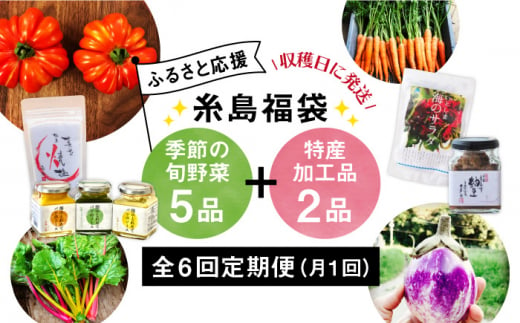 【 全6回 定期便】 朝採り オーガニック 旬 野菜 お任せ 5品 ＋ 糸島産 大ヒット 特産 加工品 2品 のセット《糸島》【オーガニックナガミツファーム】 [AGE030]