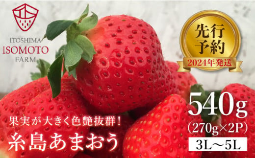 糸島の美味い あまおう 270g×2パック (A品B品含む３L〜５L) 糸島市 / 磯本農園 / TANNAL [ATB003]