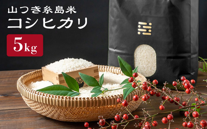 糸島 で 農薬 を使わずに育てた 山つき 糸島米 5kg （ コシヒカリ ）《 糸島 》【株式会社やました】 [ARJ015]