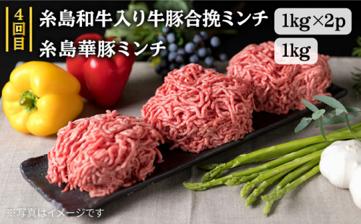 家族 で たっぷり！ ボリューム 満載 定期便全7回 （月1回） 4人用 【福岡 糸島産 牛肉 豚肉 鶏肉 切り落とし ミンチ ハンバーグ 餃子】 《糸島》 【糸島ミートデリ工房】 [ACA085]