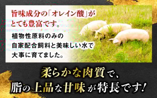 一貴山豚 あらびきフランク 20本(5本×4パック) 糸島市 / いきさん牧場 豚肉　ソーセージ ウインナー [AGB068] 豚肉 ソーセージ ウインナー ホットドック フランク 豚 肉 ポーク あらびき