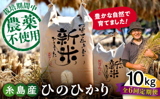 【全6回定期便】 糸島産 雷山のふもとの米 農薬不使用 10kg 糸島市 / ツバサファーム [ANI007] 白米 玄米