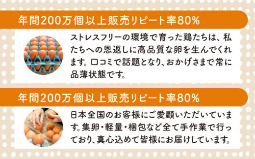 【プリップリな卵黄！】つまんでご卵 40個セット 卵 たまご 糸島 / 緑の農園 [AGA011] ランキング 上位 人気 おすすめ 生卵 鶏卵