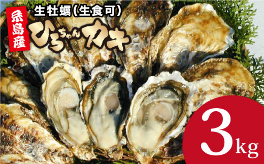 殻付き牡蠣 中サイズ 3kg（36個前後）牡蠣 生カキ 生食用 殻付き カキ 生牡蛎 生食可 糸島市 / ひろちゃんカキ [AJA003]