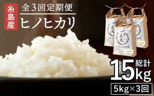 【全3回定期便】糸島産 ヒノヒカリ 5kg×3回 　糸島市 / 糸島王丸農園 ( 谷口汰一 )【いとしまごころ】 [AAZ011]