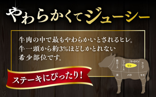 【全6回定期便】【A4/A5等級】博多和牛 ヒレステーキ 800g (100g×8枚) 糸島市 / ヒサダヤフーズ 黒毛和牛 牛肉 ヒレ肉 雌牛 [AIA091]