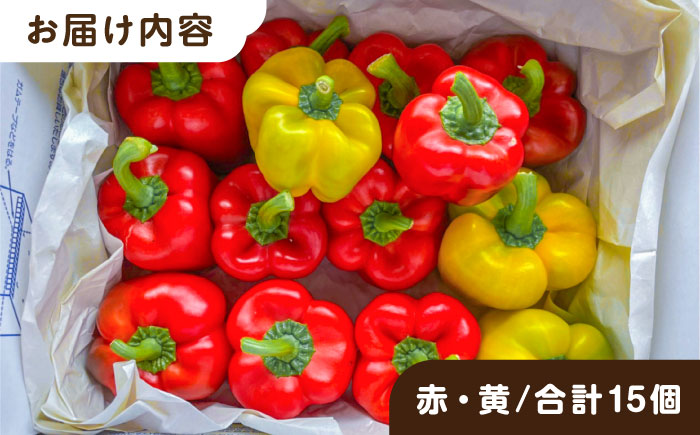 糸島産 肉厚 パプリカ 15個 福岡県  糸島市 / シーブ [AHC032] 野菜 ピーマン 野菜 やさい パプリカ ピーマン 肉厚 生 ピクルス マリネ 肉詰め