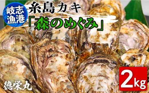 糸島カキ 生牡蠣 2kg 福岡県糸島市岐志漁港 糸島市 / 徳栄丸 牡蠣 生カキ 生食用 殻付き カキ 生牡蛎 生食可 [APD003]