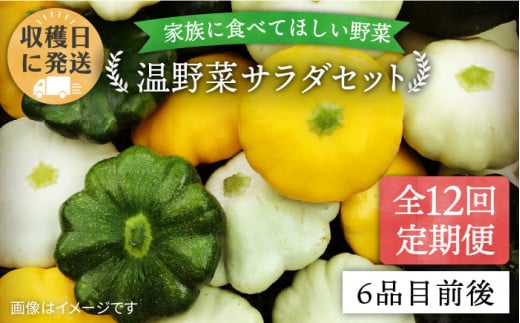 【 全12回定期便 】【 福岡県 糸島産 】朝採れ 温野菜 サラダ セット《糸島》【オーガニックナガミツファーム】[AGE021]