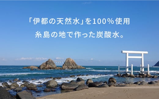 強炭酸水 プレーン 500ml × 24本  糸島市 / スターナイン 炭酸水 国産 [ARM002]