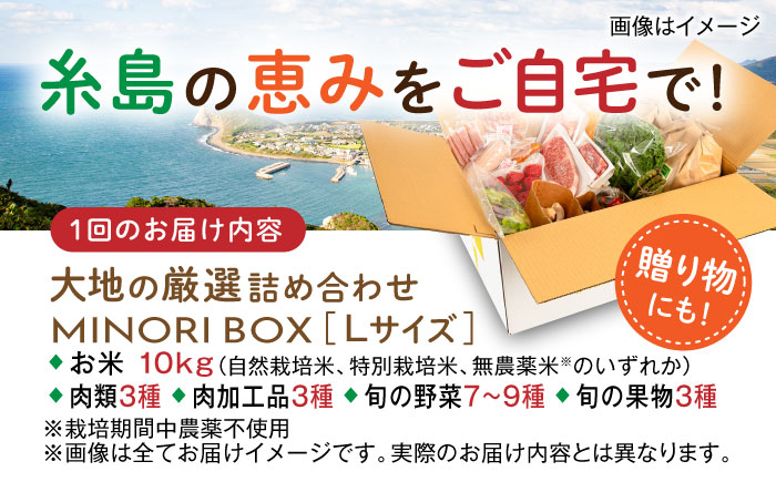 【全4回定期便】糸島産 肉 米 野菜 果物 厳選詰め合わせ MINORI BOX Lサイズ【季節ごとに年4回お届け】 糸島市 / emma.Inc / 米 肉 野菜 果物 詰め合わせ [AOP003] 米 こめ 肉 にく 野菜 やさい 果物 くだもの 糸島 詰め合わせ MINORI