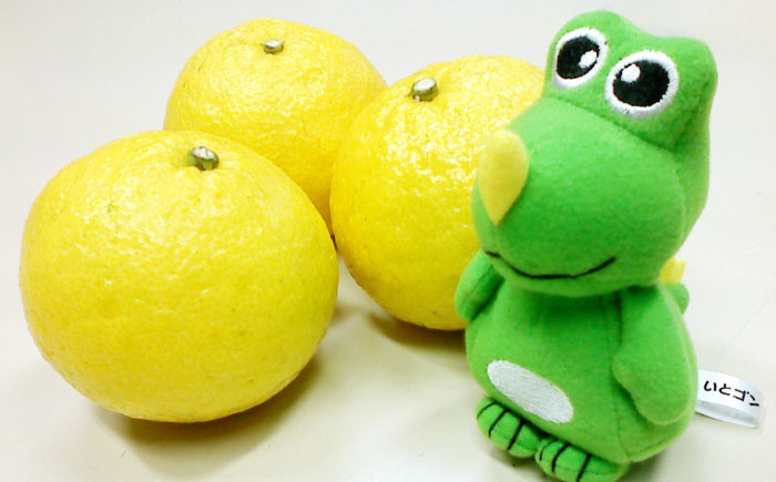 爽やかに甘い！ 糸島産 「はるか」 ジャンボサイズ 約5kg（3L-4Lサイズミックス）糸島市 / 二丈赤米産直センター [ABB031]