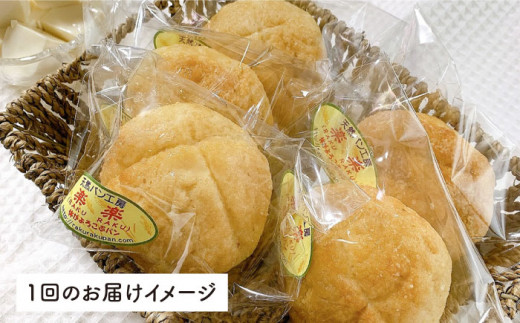 【 全6回 定期便 】自家製 豆乳 を使った お 豆腐 入り の メロンパン ( 卵 / 乳製品 不使用 )《糸島》【天然パン工房楽楽】【いとしまごころ】[AVC045]