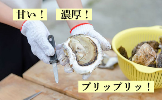 【 特大 ！ 】 糸島産 岩牡蠣 3kg (9～12個) 糸島市 / JF糸島 糸島漁業協同組合 [AKD004]