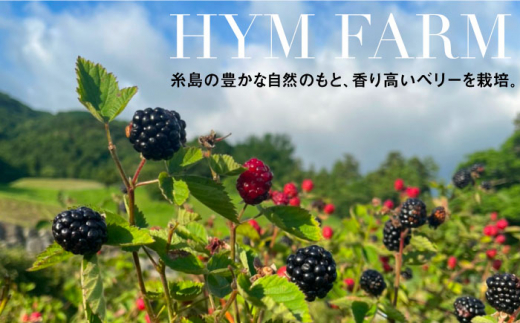 2023年産 糸島産ブルーベリー・ブラックベリーワイン 720ml×2種セット 糸島市 / HYM FARM ワイン ブルーベリー [AHM002]