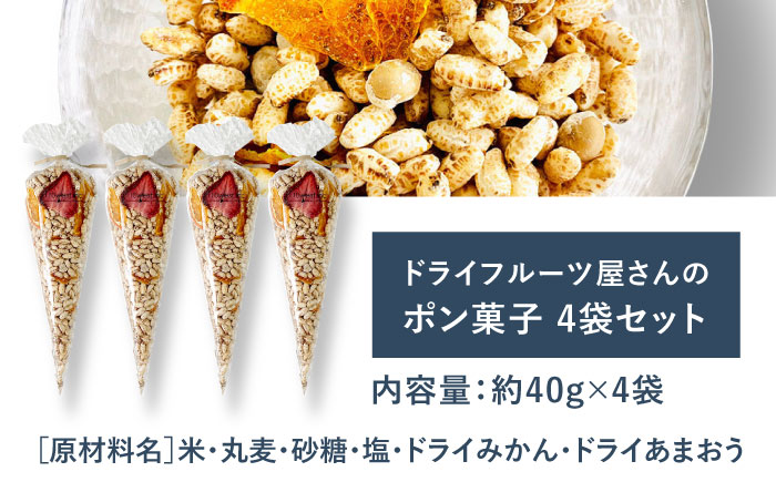 ドライフルーツ屋さんのポン菓子 (ドライフルーツ入り) 4袋セット 糸島市 / 110west.inc 【いとしまごころ】 ドライフルーツ ポン菓子 [ASC008] ぽん菓子 米菓 ドライフルーツ ポン菓子 ぽん菓子 麦 玄米 駄菓子 米菓 セット 無農薬米