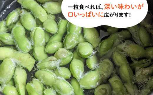 【期間限定！】黒大豆枝豆【幸】1.2kg （400g×3袋） 糸島市 / 染井野菜園 [AZM001]