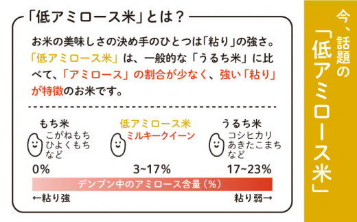 ミルキークイーン 2合× 20袋 （ 300g×20袋 ） 小分け袋 糸島市 / 玄米・精米専門店 新飼宗一郎商店 米 白米 [ADE018]