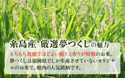 【全6回定期便】糸島産 いとし米 厳選夢つくし 10kg 糸島市 / 三島商店 [AIM048]