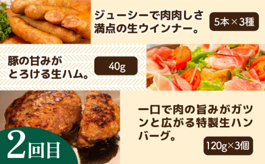 【全3回定期便】 ウインナー / ハンバーグ / ハム 月替り セット 糸島市 / 志摩スモークハウス 生ハム ベーコン [AOA038]