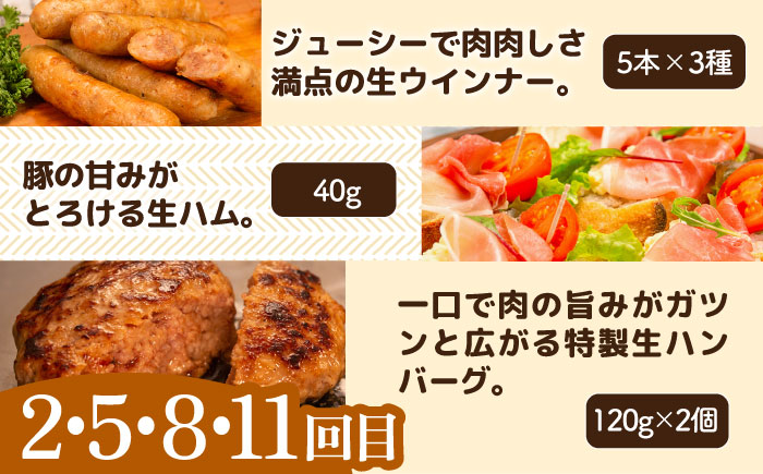 【全12回定期便】 ウインナー / ハンバーグ / ハム 月替り セット 糸島市 / 志摩スモークハウス 生ハム ベーコン [AOA040] 定期便 生 ウインナー ソーセージ ハンバーグ お肉