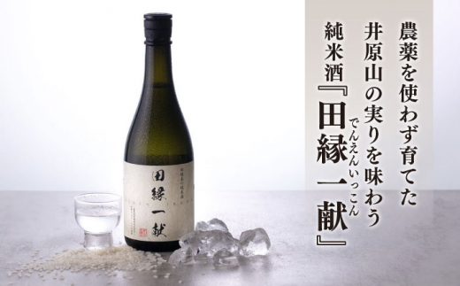 無農薬で育てたお米で作った 日本酒 『田縁一献（でんえんいっこん）』純米酒 720ml×1本  糸島市 / 田縁プロジェクト [AUM002]