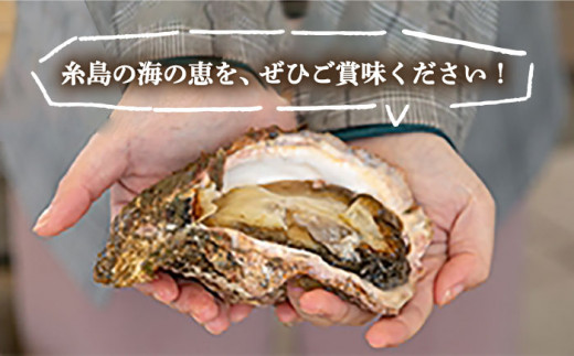 【 特大 ！ 】 糸島産 岩牡蠣 3kg (9～12個) 糸島市 / JF糸島 糸島漁業協同組合 [AKD004]