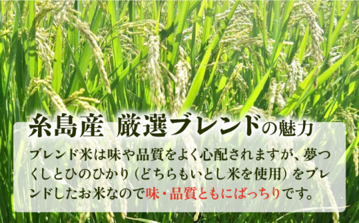 【2024年11月以降順次発送】【全3回定期便】いとし米 厳選ブレンド 10kg×3回(糸島産) 糸島市 / 三島商店 [AIM053]