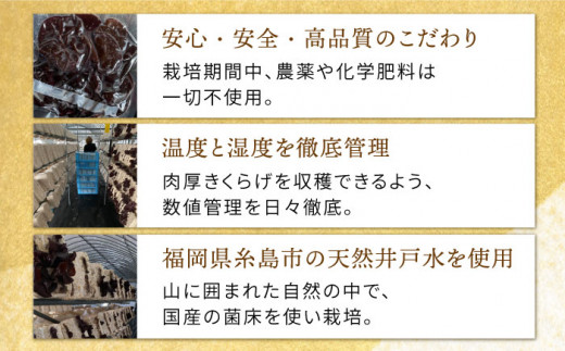 結樹農園アグリス きくらげ満足セット ≪糸島市≫【結樹農園アグリス】きくらげ/国産/明太/明太子 [AAJ004]