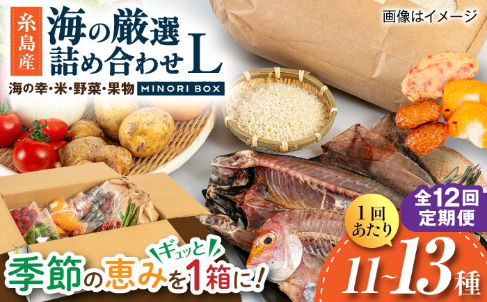 【全12回定期便】糸島産 魚 米 野菜 果物 厳選詰め合わせ MINORI BOX Lサイズ 糸島市 / emma.Inc / 米 魚 野菜 果物 詰め合わせ [AOP030]