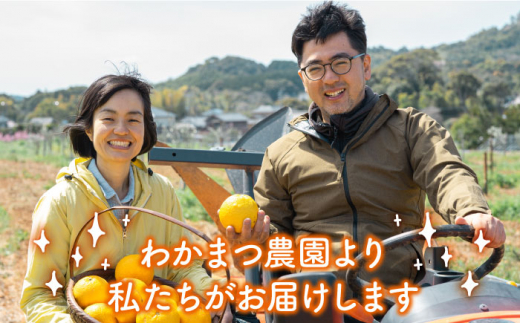 【全6回定期便】福岡県 糸島産 わかまつ 果樹園 の 日本 蜜蜂 の はちみつ 100％ PURE RAW 糸島市 / わかまつ農園 [AHB033]