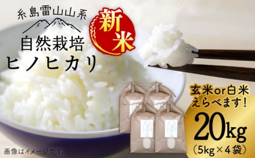 【新米予約受付中】＼令和6年産／自然栽培 ヒノヒカリ 20kg 《糸島》【大石ファーム】 [ATE003]