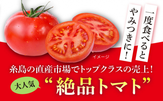 【産地直送！】糸島産 絶品 トマト かれん (4kg 28玉 前後) 糸島市 / シーブ [AHC019]