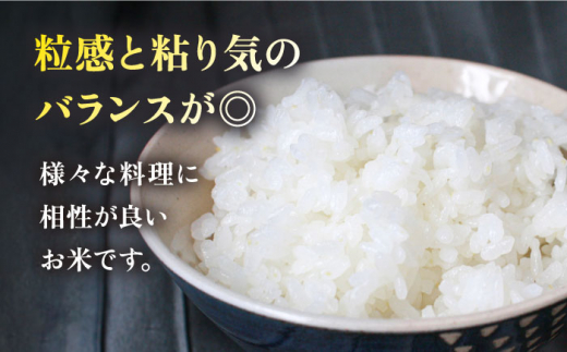 【全3回定期便】いとし米 厳選夢つくし 5kg×3回 (糸島産) 糸島市 / 三島商店 [AIM021]