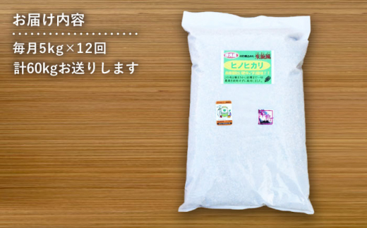 【全12回定期便】米 旋風 ヒノヒカリ 玄米 5kg 糸島市 / 百笑屋 [ABF034]