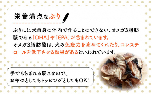 【先行予約：2025年1月以降順次発送】ぶり ジャーキー 30g×3袋 糸島市 / 株式会社コバヤシ【coco.kina】 [ASL010]