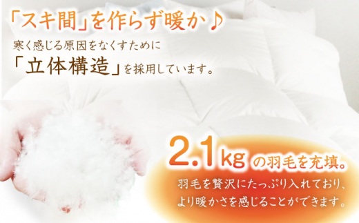 【 糸島 羽毛 ふとん 】【クイーン】羽毛 布団 無地 ダウン93％ 糸島市 / 株式会社三樹 [AYM020]