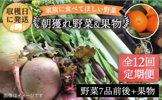 【全12回定期便】こだわり 野菜 （7品前後） セット ＋ 果物 《糸島》【 オーガニックナガミツファーム】[AGE013]