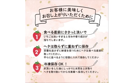 【全2回定期便】あまおう いちご 1,080g (約270g×4パック 【先行予約・2025年1月中旬より順次発送】 糸島市 / 株式会社HSP-テクノ グランデ 等級 福岡県産 [AZL005]