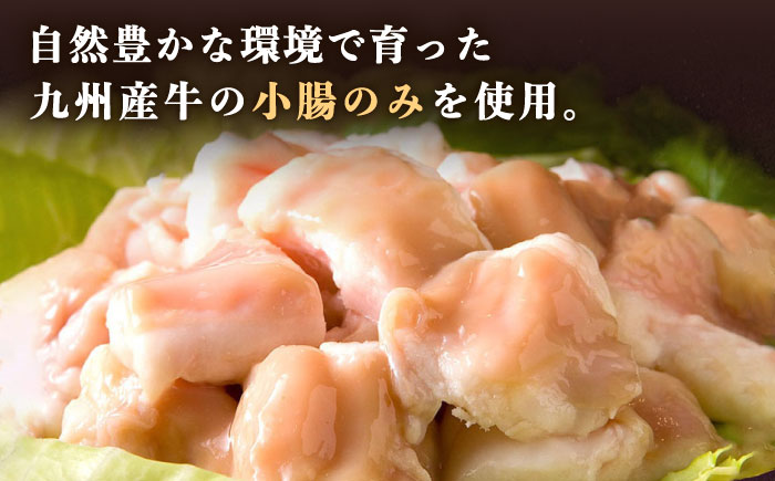 国産 ・ 完全 無添加 もつ鍋 セット ( 約 2人前 ) しょうゆ味 糸島市 / 博多 浜や[AFF003] 福岡 名物 無添加 国産 もつ鍋 もつなべ モツ 鍋セット うどん 博多