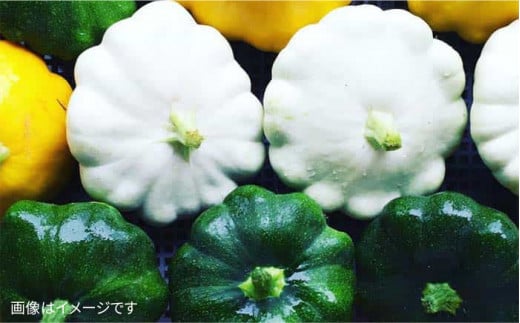 【 全12回 定期便 】【 農薬・化学肥料 不使用 】こだわり 野菜 セット （ 8品 前後 ） 《糸島》【オーガニックナガミツファーム】 [AGE018]