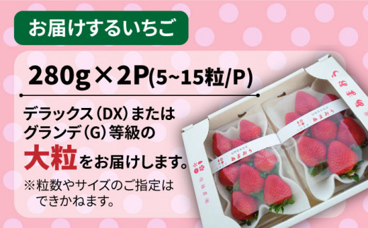 【先行予約】【農家直送！】糸島産 春 あまおう 280g × 2パック  (DXまたはGサイズ)  【2025年2月上旬より順次発送】 糸島市 / 後藤農園 [AML004] いちご 福岡