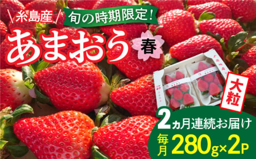 【全2回定期便】【農家直送！】糸島産 春 あまおう 280g×2パック (DXおよびGサイズ) 【先行予約受付中・2025年2月上旬より順次発送】 糸島市 / 後藤農園 いちご 福岡 [AML008]